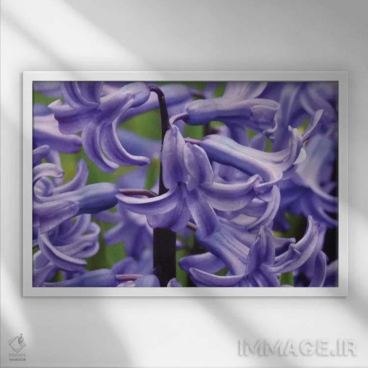 تابلو سنبلها از نزدیک اثر برایان ولف - نمای قابدار سفید