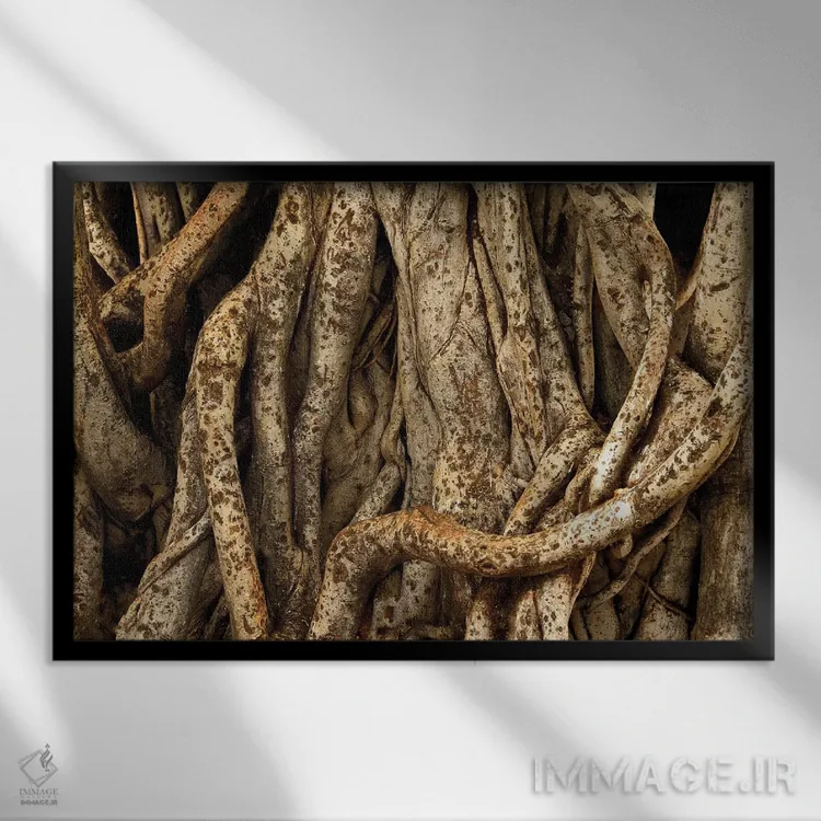 تابلو ریشههای درخت بانیان اثر برایان ولف - نمای قابدار مشکی