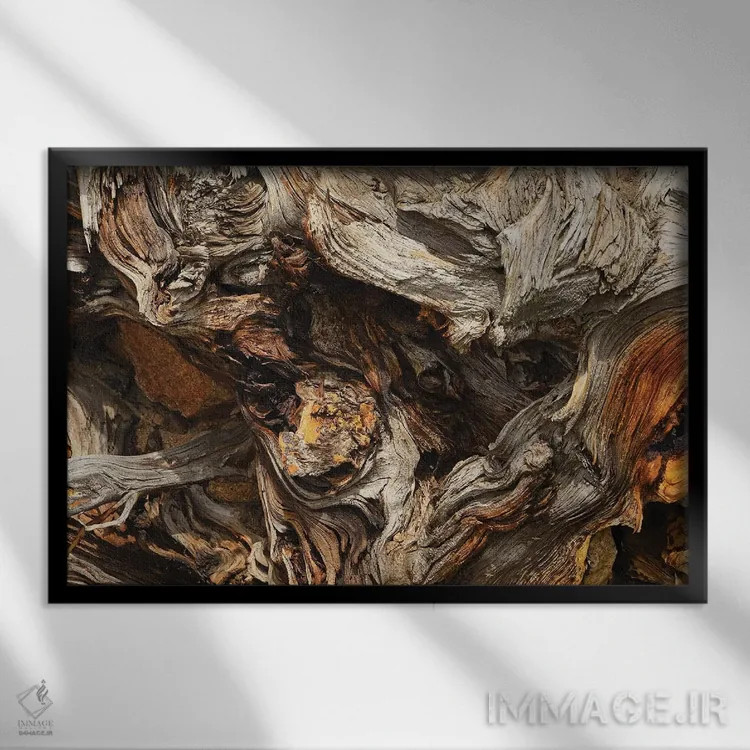 تابلو انتزاعی از ریشهٔ درخت اثر برایان ولف - نمای قابدار مشکی