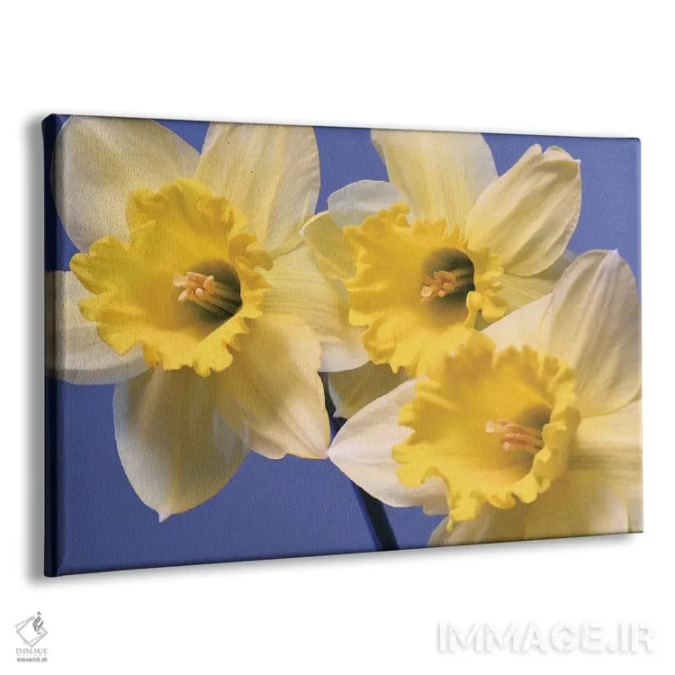 تابلو نرگسهای بهاری اثر برایان ولف - نمای پرسپکتیو محصول
