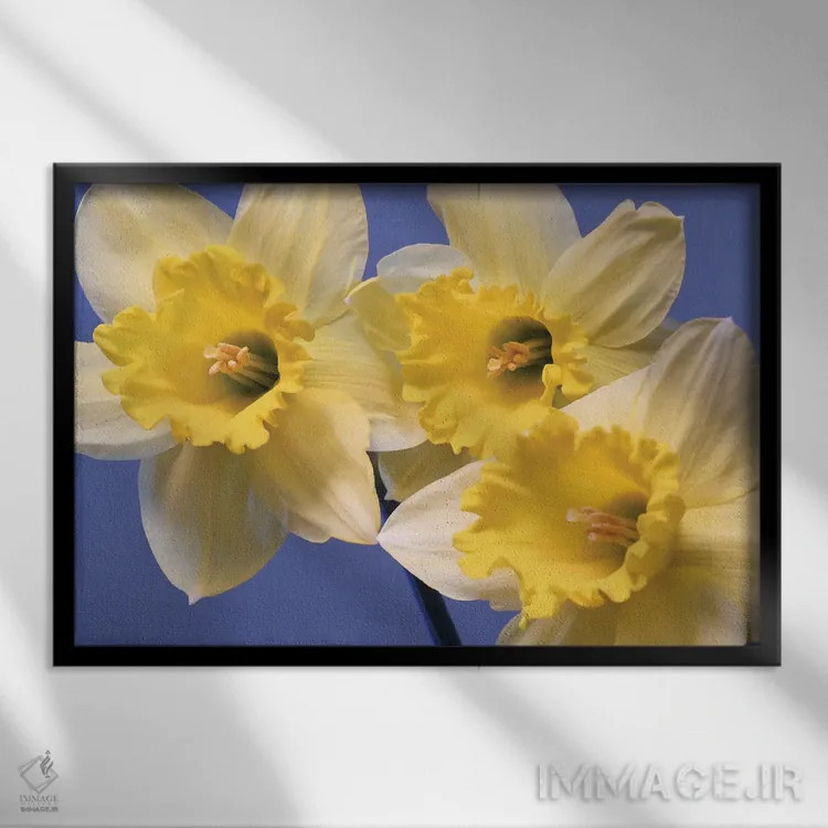 تابلو نرگسهای بهاری اثر برایان ولف - نمای قابدار مشکی
