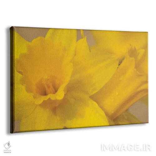 تابلو نرگسهای زرد اثر برایان ولف - نمای پرسپکتیو محصول