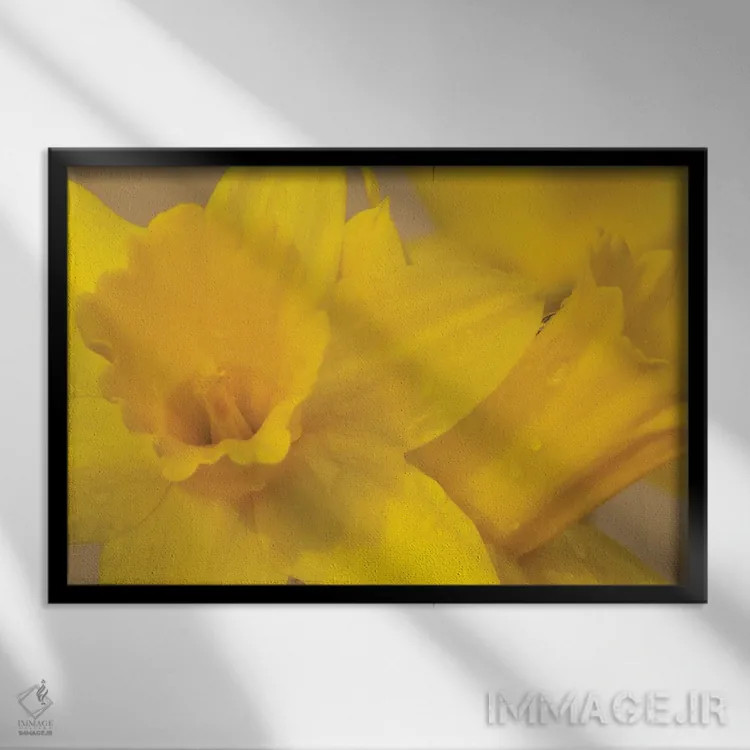 تابلو نرگسهای زرد اثر برایان ولف - نمای قابدار مشکی