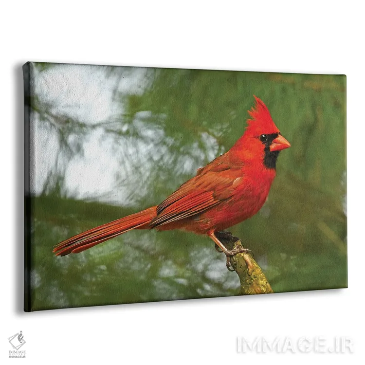 تابلو کارباورال مغرور اثر برایان ولف - نمای پرسپکتیو محصول