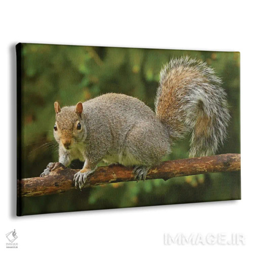 تابلو دزد در کنار دانخوری پرندگان اثر برایان ولف - نمای پرسپکتیو محصول