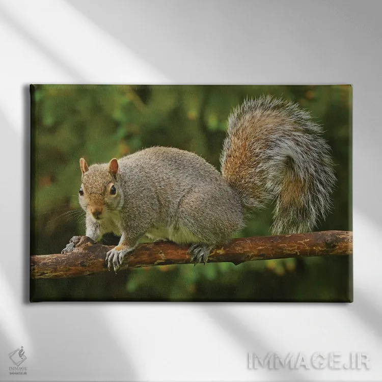 تابلو دزد در کنار دانخوری پرندگان اثر برایان ولف - نمای روبهرو روی دیوار