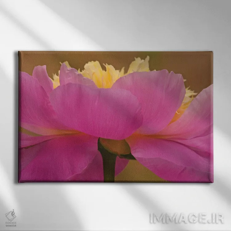 تابلو از زاویهای متفاوت اثر برایان ولف - نمای روبهرو روی دیوار