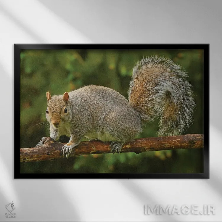 تابلو دزد در کنار دانخوری پرندگان اثر برایان ولف - نمای قابدار مشکی