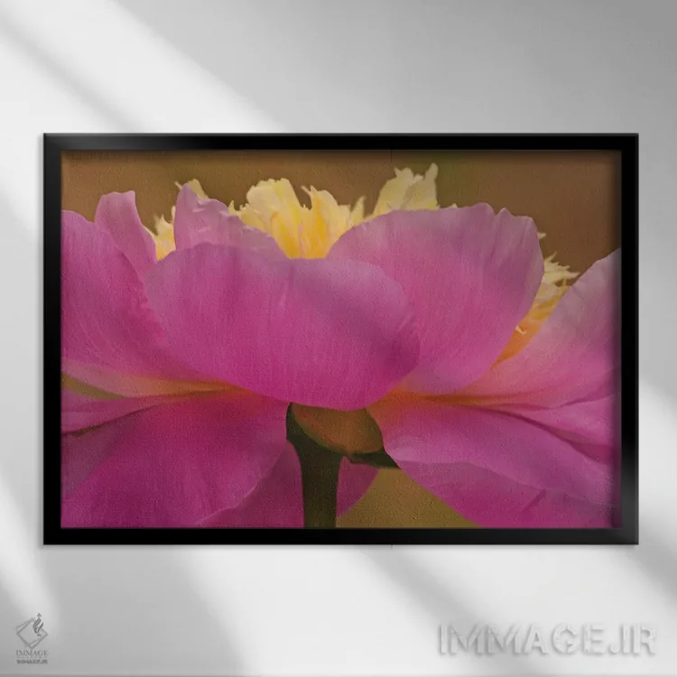 تابلو از زاویهای متفاوت اثر برایان ولف - نمای قابدار مشکی