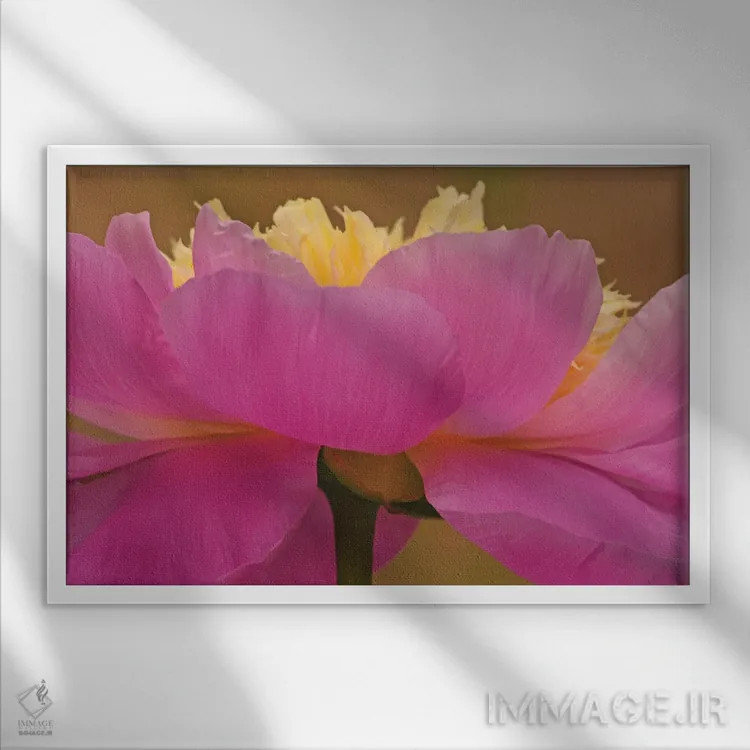 تابلو از زاویهای متفاوت اثر برایان ولف - نمای قابدار سفید