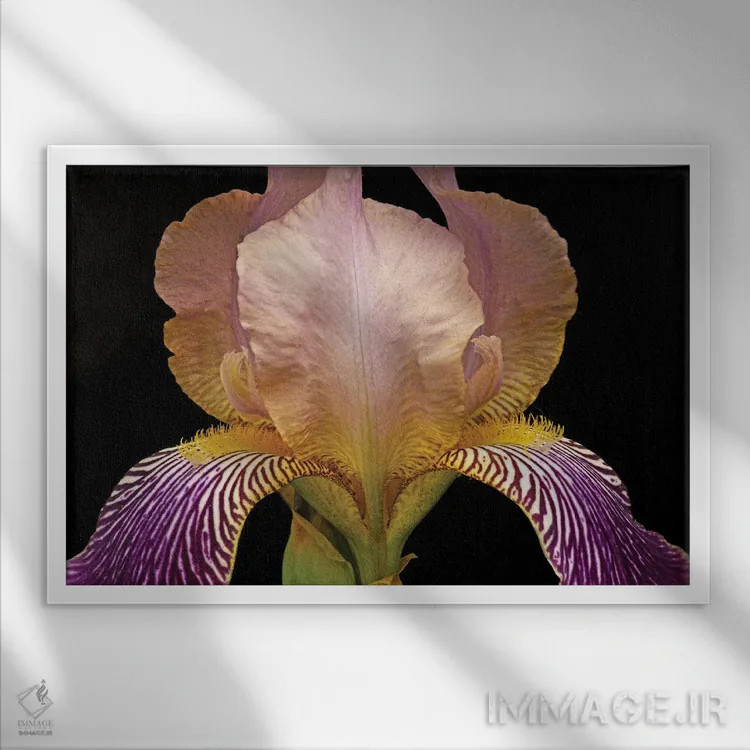 تابلو رنگهای زنبق اثر برایان ولف - نمای قابدار سفید