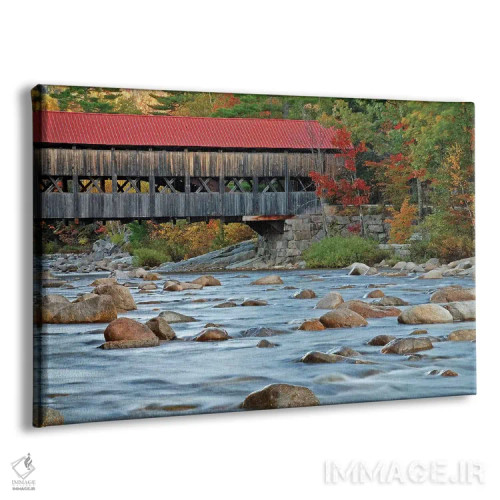 تابلو پل آلبانی اثر برایان ولف - نمای پرسپکتیو محصول