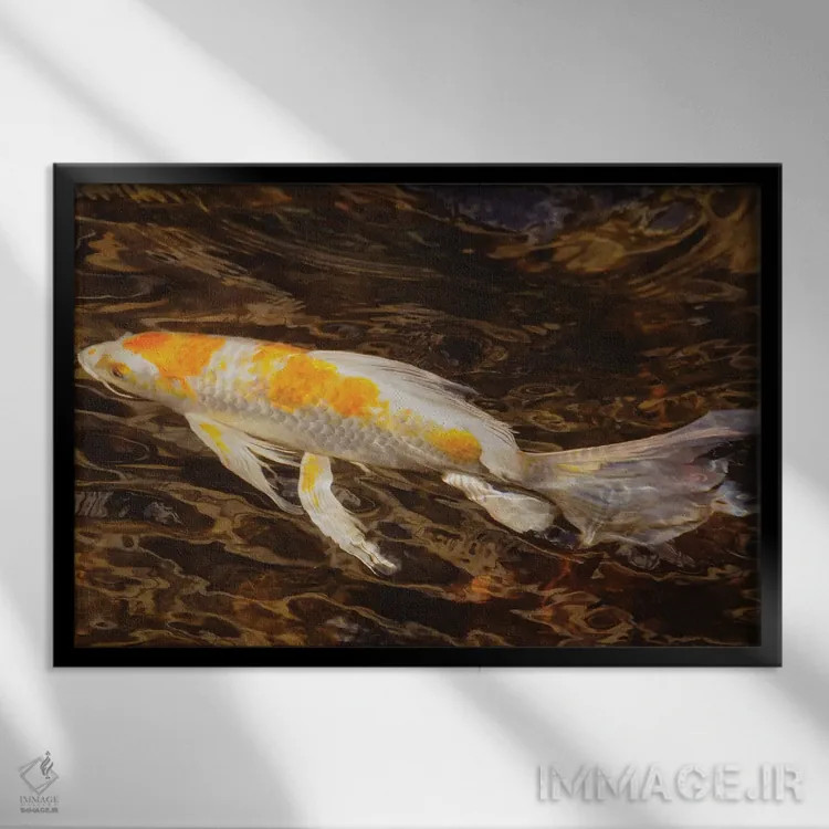 تابلو شنا کردن به جلو اثر برایان ولف - نمای قابدار مشکی