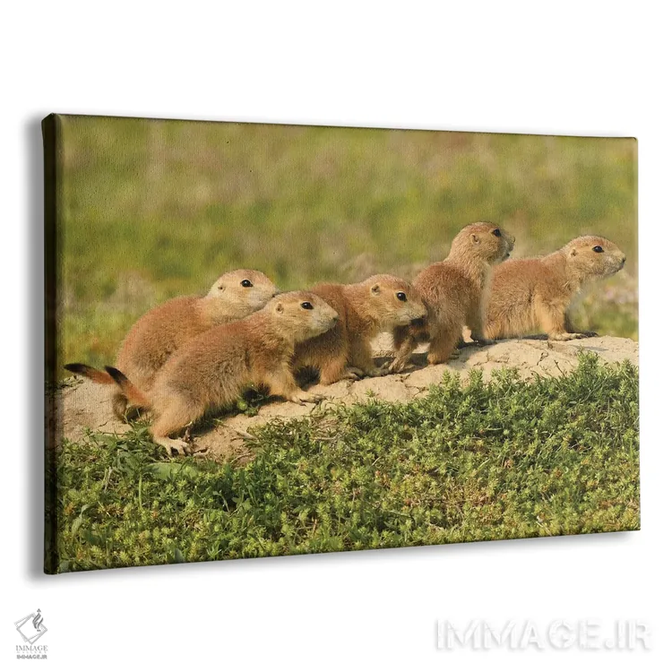 تابلو همه تولهها در صف اثر برایان ولف - نمای پرسپکتیو محصول