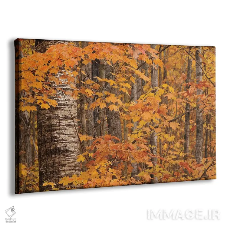 تابلو توسها و افراها اثر برایان ولف - نمای پرسپکتیو محصول