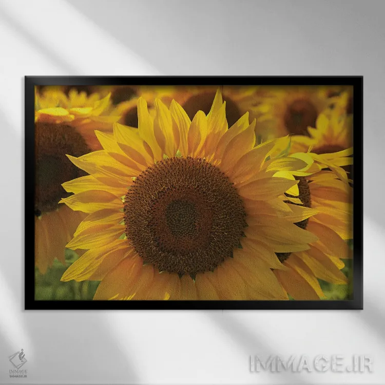 تابلو مجموعه آفتابگردانها اثر برایان ولف - نمای قابدار مشکی