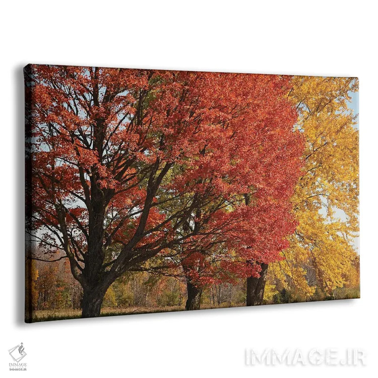 تابلو افراهای باشکوه نگهبان اثر برایان ولف - نمای پرسپکتیو محصول