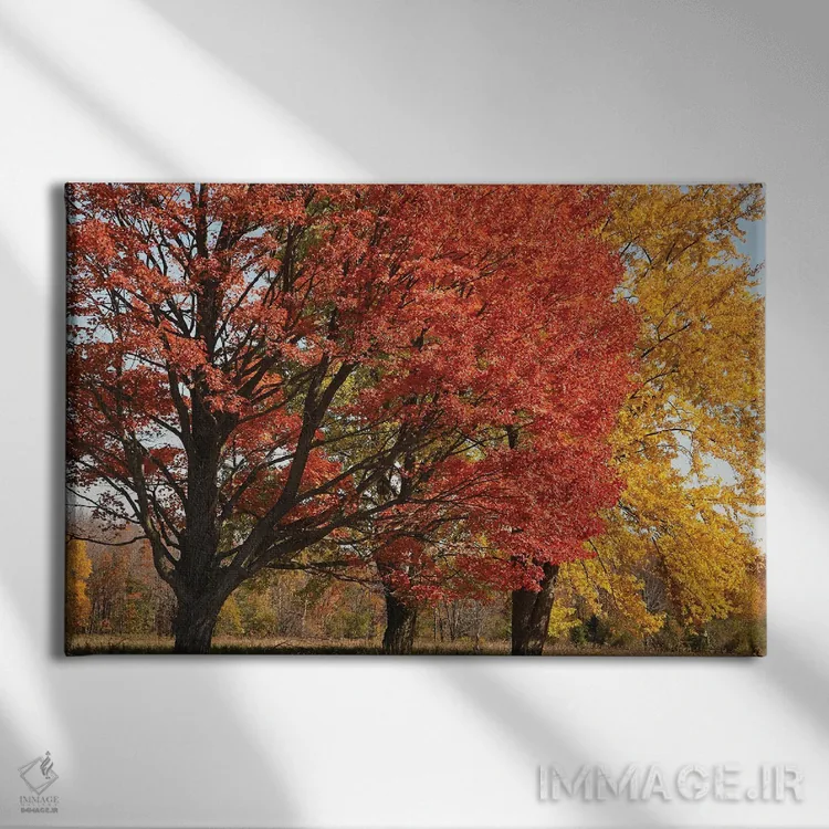 تابلو افراهای باشکوه نگهبان اثر برایان ولف - نمای روبهرو روی دیوار