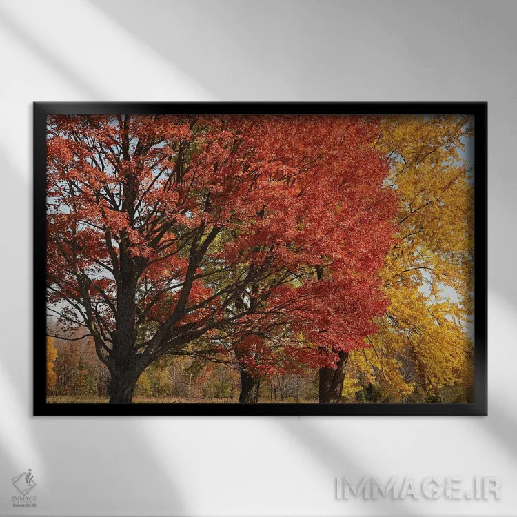 تابلو افراهای باشکوه نگهبان اثر برایان ولف - نمای قابدار مشکی