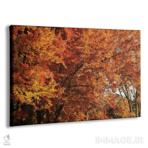 تابلو گروه افراهای نارنجی اثر برایان ولف - نمای پرسپکتیو محصول