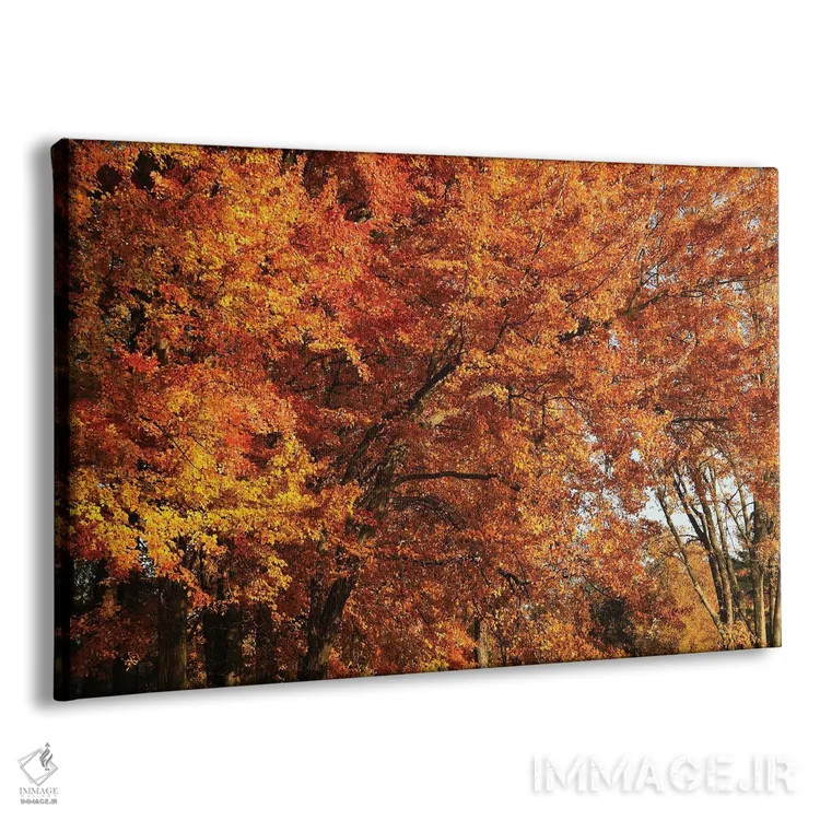 تابلو گروه افراهای نارنجی اثر برایان ولف - نمای پرسپکتیو محصول