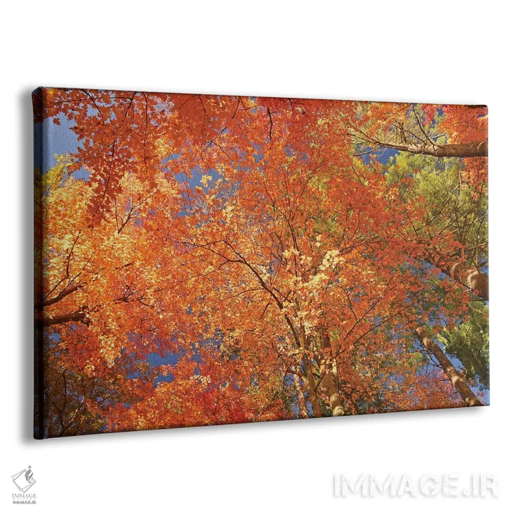 تابلو کالیدوسکوپ طبیعت (منظرهٔ رنگارنگ) اثر برایان ولف - نمای پرسپکتیو محصول