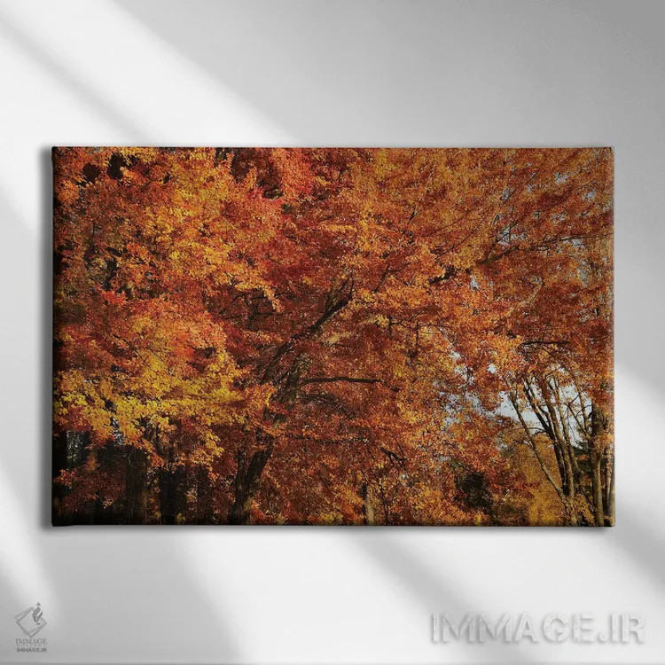 تابلو گروه افراهای نارنجی اثر برایان ولف - نمای روبهرو روی دیوار
