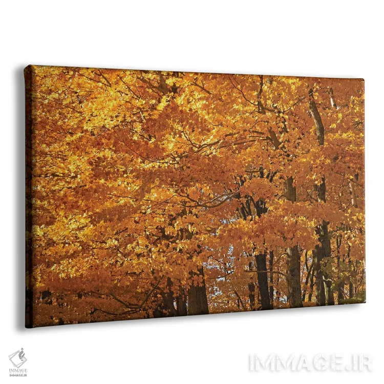 تابلو افراهای آفتابگرفته اثر برایان ولف - نمای پرسپکتیو محصول