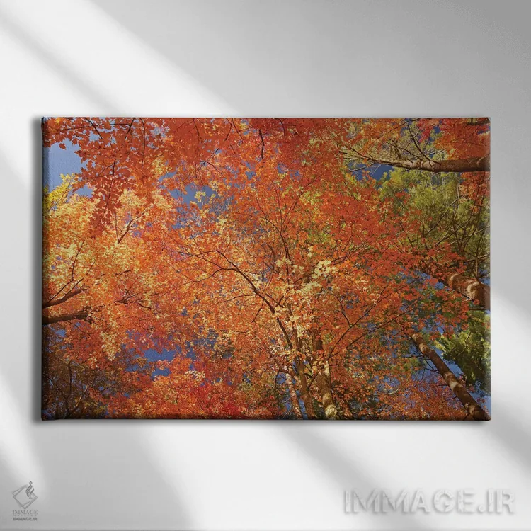 تابلو کالیدوسکوپ طبیعت (منظرهٔ رنگارنگ) اثر برایان ولف - نمای روبهرو روی دیوار