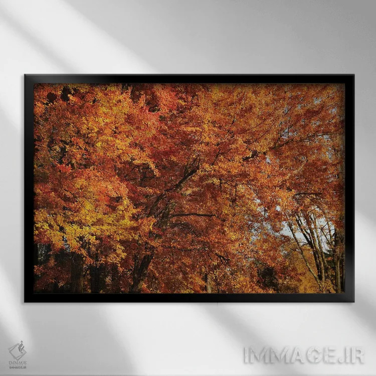 تابلو گروه افراهای نارنجی اثر برایان ولف - نمای قابدار مشکی