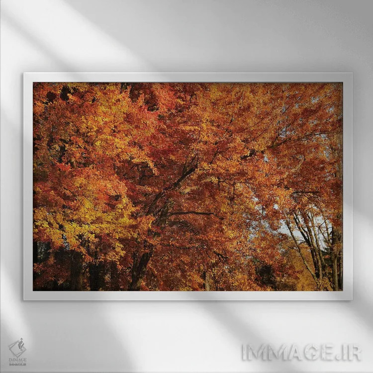تابلو گروه افراهای نارنجی اثر برایان ولف - نمای قابدار سفید