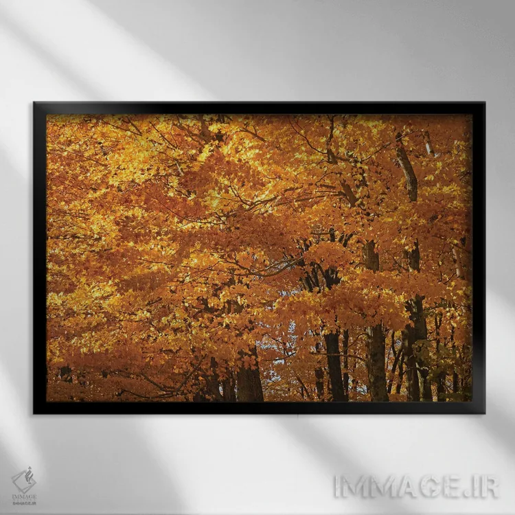 تابلو افراهای آفتابگرفته اثر برایان ولف - نمای قابدار مشکی