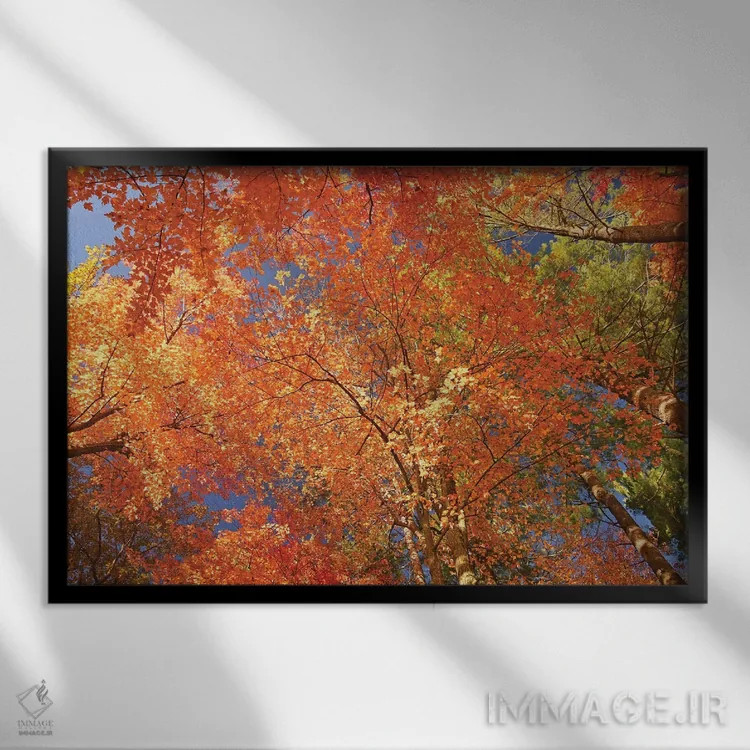 تابلو کالیدوسکوپ طبیعت (منظرهٔ رنگارنگ) اثر برایان ولف - نمای قابدار مشکی
