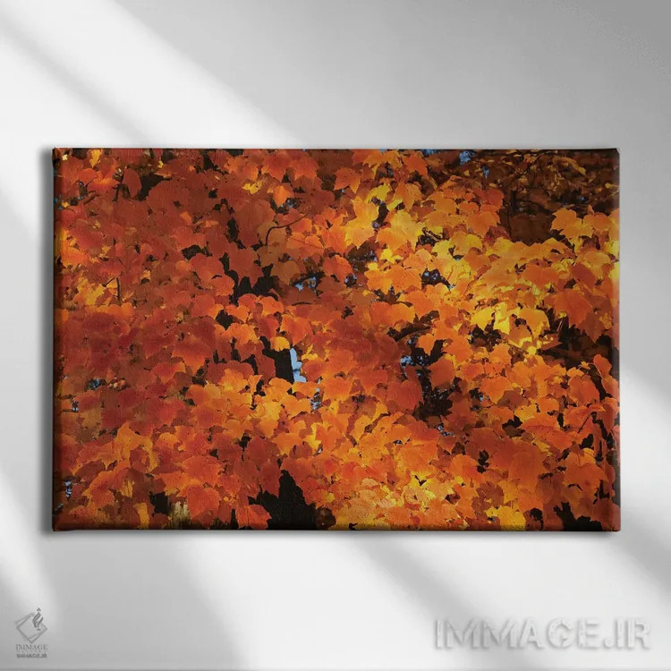 تابلو نارنجی اثر برایان ولف - نمای روبهرو روی دیوار