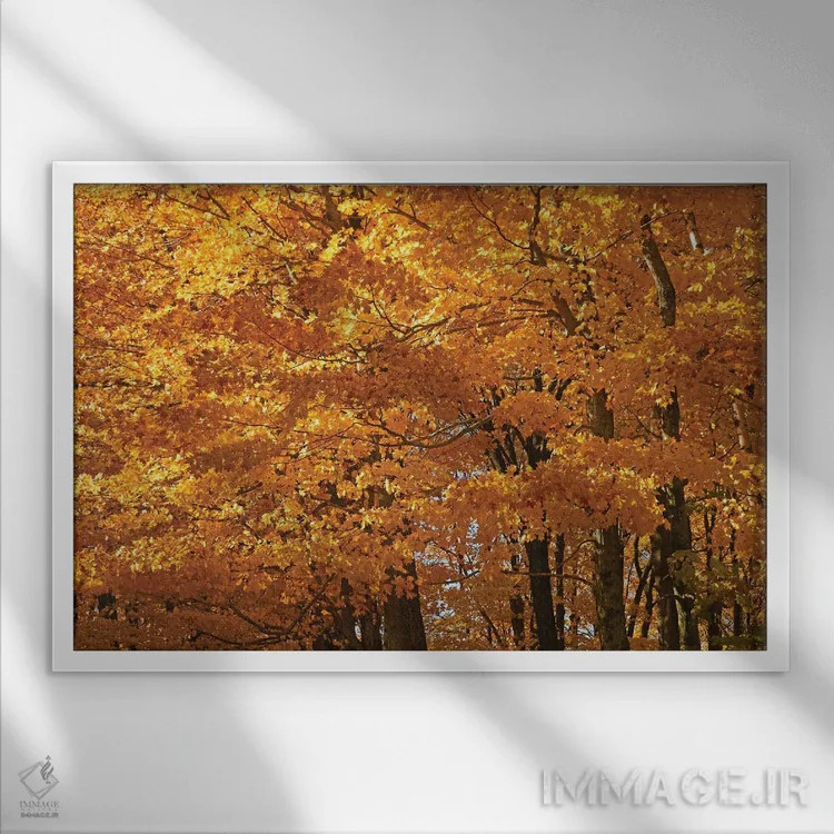 تابلو افراهای آفتابگرفته اثر برایان ولف - نمای قابدار سفید