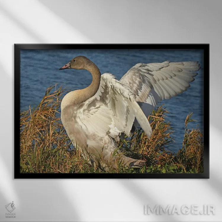 تابلو کشش بزرگ اثر برایان ولف - نمای قابدار مشکی