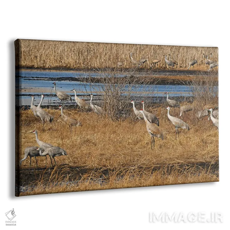 تابلو مهاجرت درنای تپهماسهای اثر برایان ولف - نمای پرسپکتیو محصول