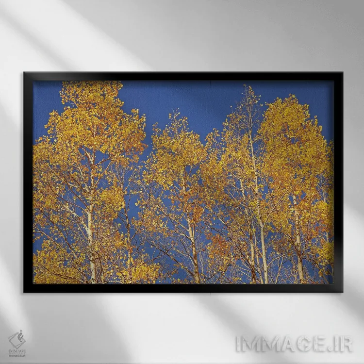 تابلو صنوبرهای زیر آسمان آبی اثر برایان ولف - نمای قابدار مشکی