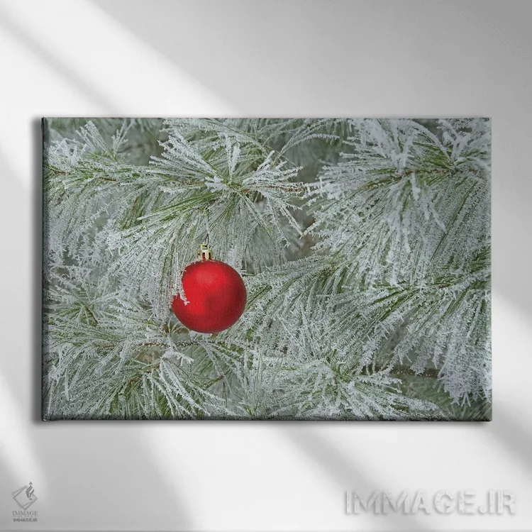 تابلو تزئین قرمز و یخ ریم اثر برایان ولف - نمای روبهرو روی دیوار