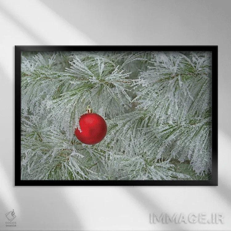 تابلو تزئین قرمز و یخ ریم اثر برایان ولف - نمای قابدار مشکی