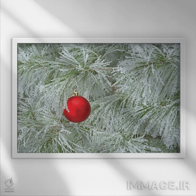 تابلو تزئین قرمز و یخ ریم اثر برایان ولف - نمای قابدار سفید