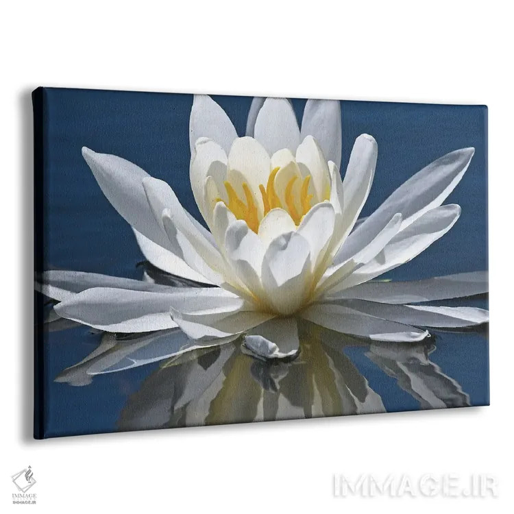 تابلو بازتاب نیلوفر آبی اثر برایان ولف - نمای پرسپکتیو محصول