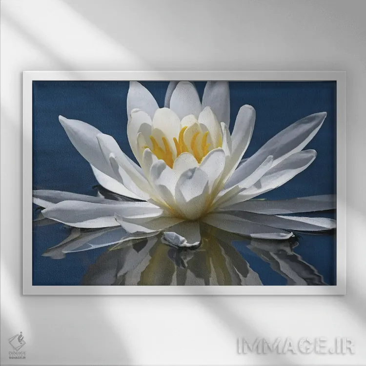 تابلو بازتاب نیلوفر آبی اثر برایان ولف - نمای قابدار سفید