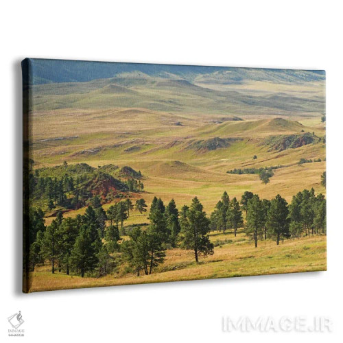 تابلو پارک ایالتی کاستر اثر برایان ولف - نمای پرسپکتیو محصول