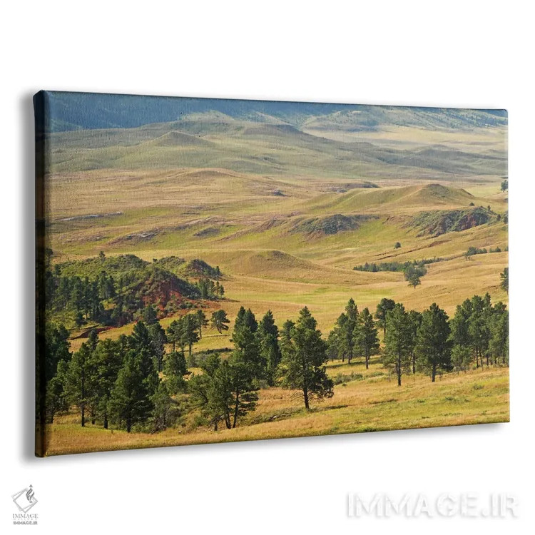 تابلو پارک ایالتی کاستر اثر برایان ولف - نمای پرسپکتیو محصول