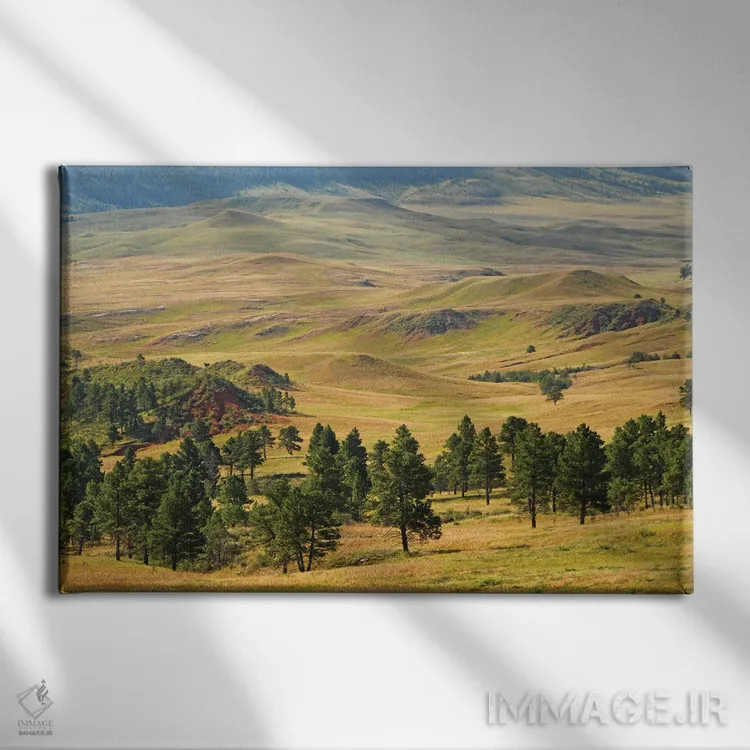 تابلو پارک ایالتی کاستر اثر برایان ولف - نمای روبهرو روی دیوار