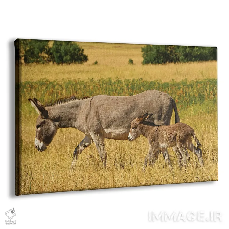 تابلو الاغ و کرهاسب اثر برایان ولف - نمای پرسپکتیو محصول