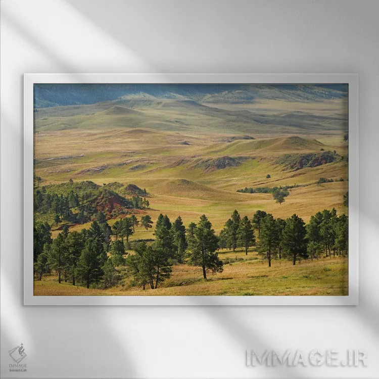 تابلو پارک ایالتی کاستر اثر برایان ولف - نمای قابدار سفید