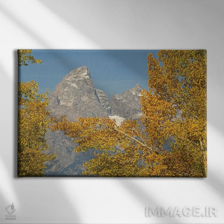 تابلو صنوبرها و تیتونها (رشتهکوه) اثر برایان ولف - نمای روبهرو روی دیوار