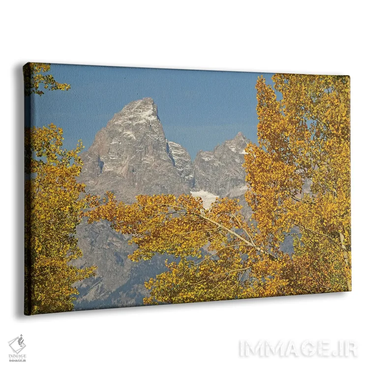 تابلو صنوبرها و تیتونها (رشتهکوه) اثر برایان ولف - نمای پرسپکتیو محصول